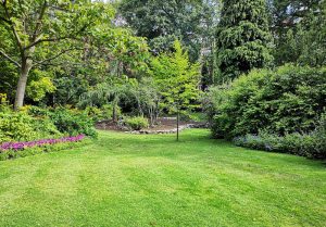 Optimiser l'expérience du jardin à Dampierre-sur-Linotte